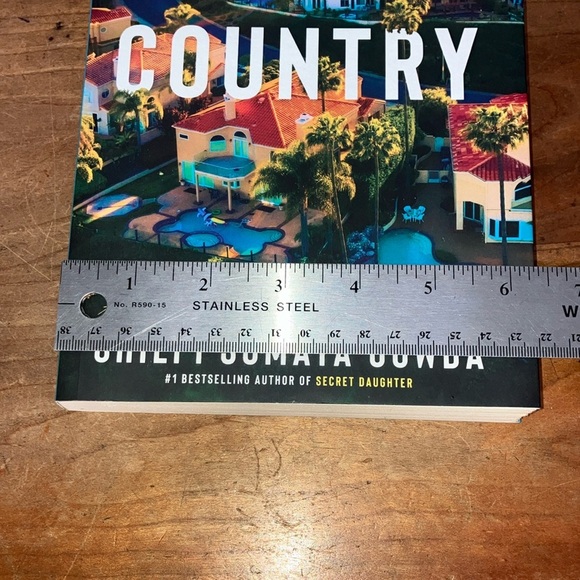 A Great Country by Shilpi Somaya Gowda - Picture 12 of 14